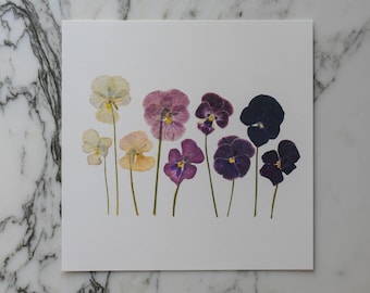 Viola ombre | Print artwork of pressed flowers | 100% cotton rag paper | Botanical artwork