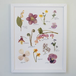 April Dawn | Print artwork of pressed spring flowers | 100% cotton rag paper | Botanical artwork