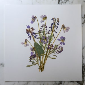 The February Bouquet | Print artwork of pressed flowers | 100% cotton rag paper | Birth month flowers, Botanical artwork, Nursery Art
