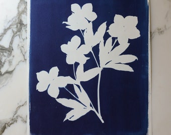 Hellebore | Cyanotype Art, 11x14" Watercolor Paper | Sun Print, Blue Print, Botanical Art, Pressed Flowers, Photogram