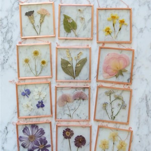 May include: A collection of framed pressed flowers, each with a copper-colored metal frame and a hanging loop. The flowers vary in color, including yellow, pink, purple, and white, and are displayed against a white background. The frames are square and arranged on a marble surface.