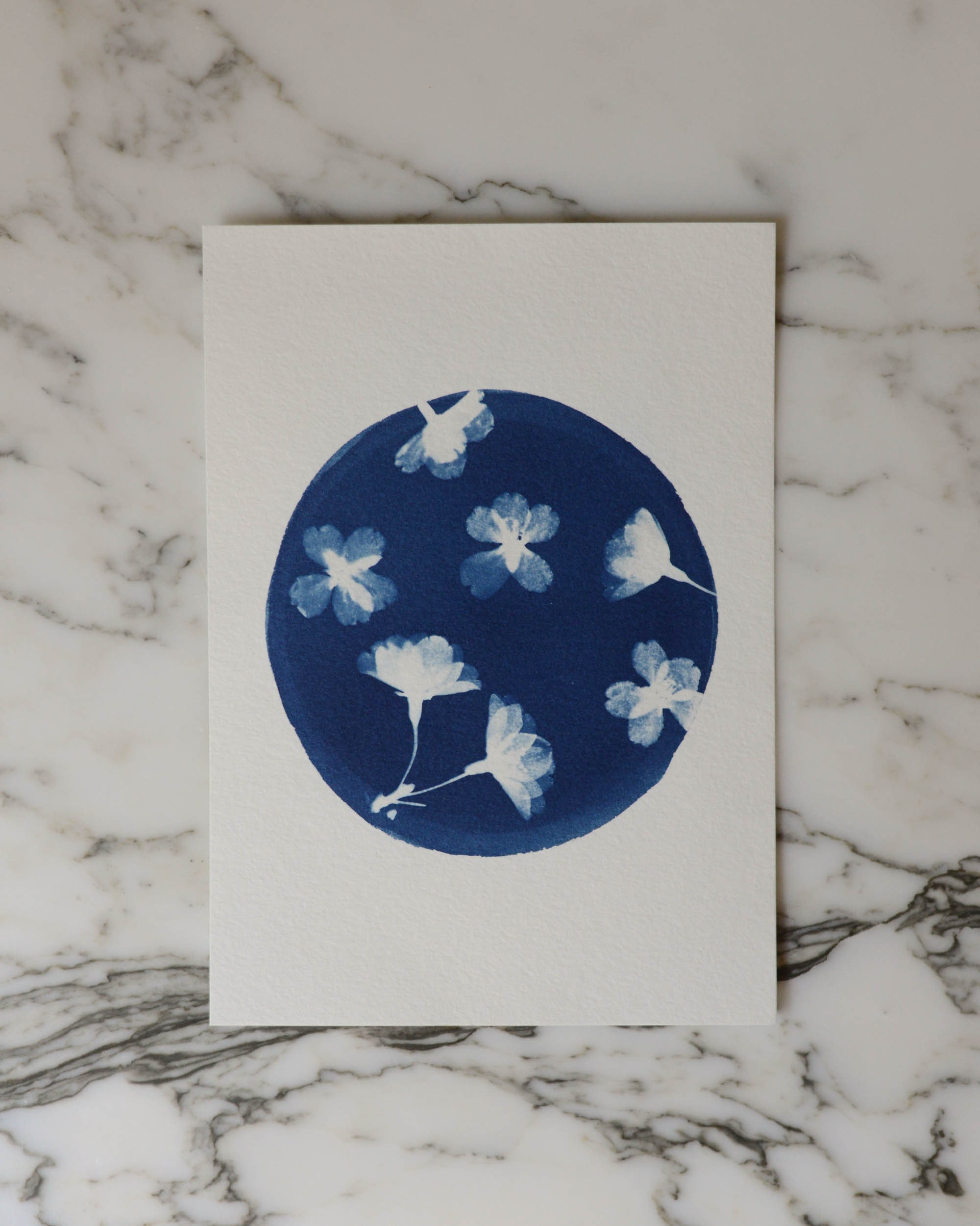 Cherry Blossom C1, Cyanotype Art, 5x7 Watercolor Paper