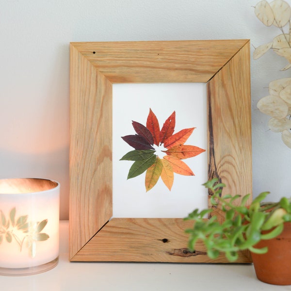 Sumac Colorwheel | Print reproduction artwork of pressed autumn leaves | 100% cotton rag paper | Botanical artwork
