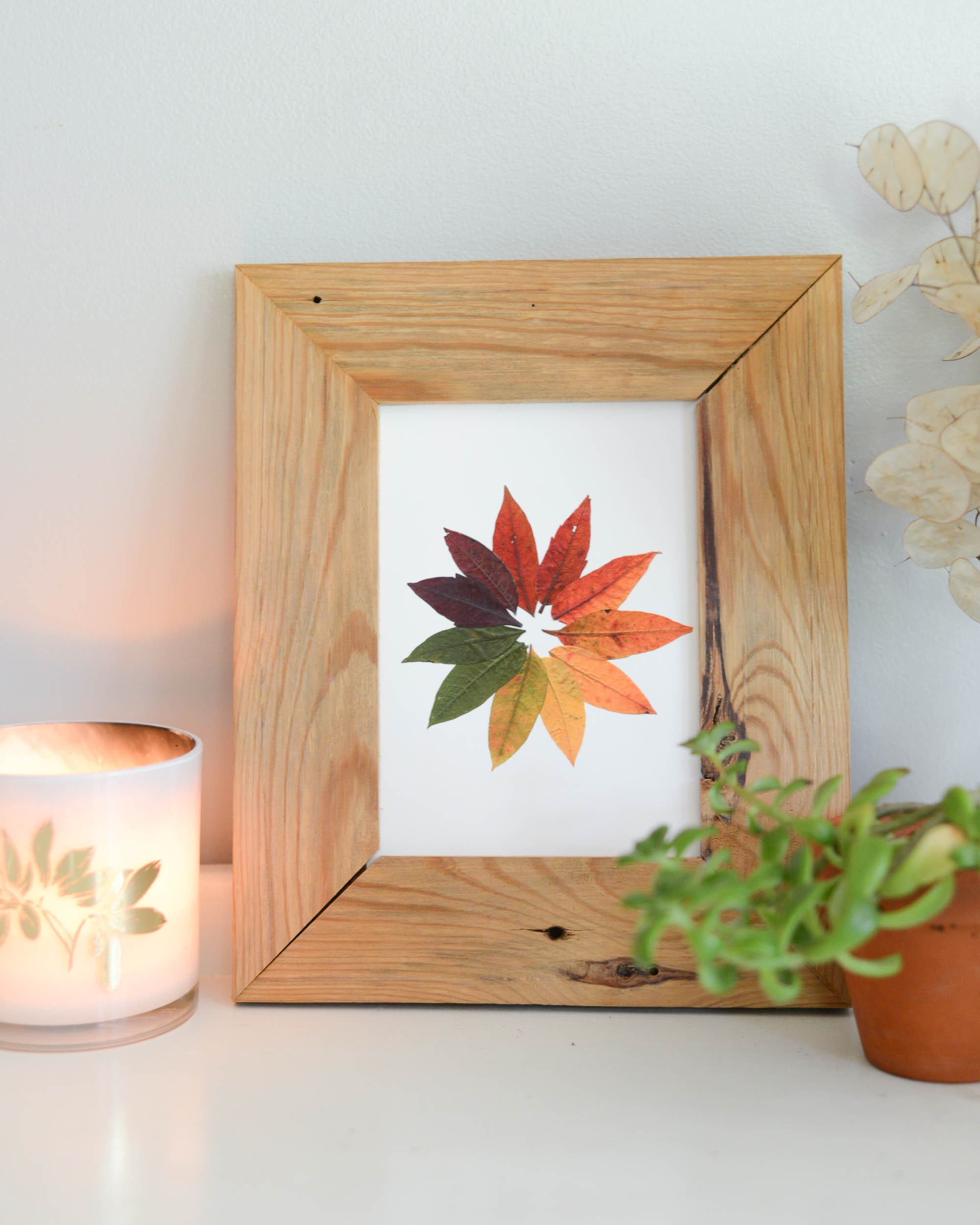 Sumac Colorwheel - France Illustrations de Reproduction d'impression Feuilles d'automne Pressées Pap