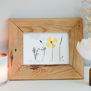 The Lifecycle Collection : CA poppy | Print reproduction artwork of pressed flowers | 100% cotton rag paper | Botanical Scientific art