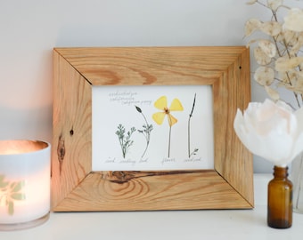 May include: A framed print of a California poppy plant in various stages of growth, from seed to flower. The print includes the scientific name "eschscholzia californica" and the common name "California poppy".