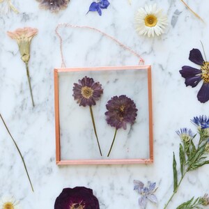 November Chrysanthemum | Handmade Glass Float Frame with Real Pressed Birth Flowers | Copper border with chain hanger