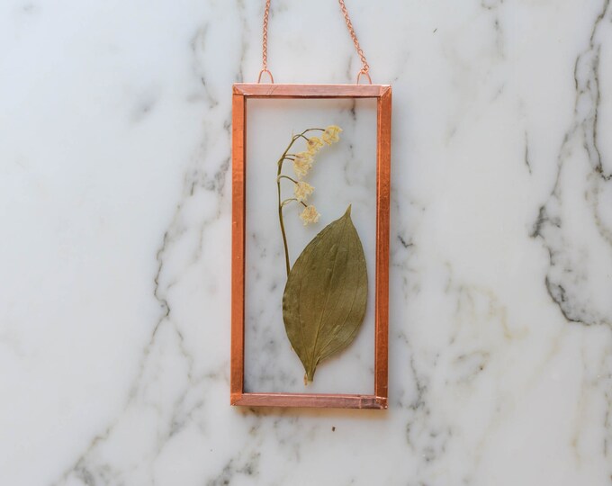 Real pressed flower wall hanging | lily of the valley | 2x4" glass with copper edging | botanical home decor
