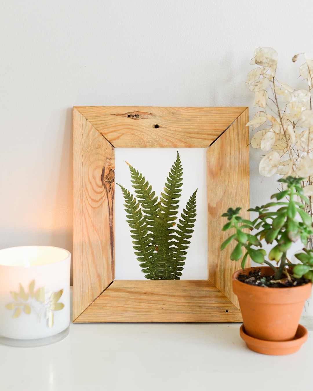 Cinnamon Fern Print Reproduction Artwork of Pressed Plants Etsy