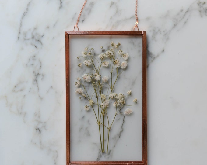 Flower of the Month - January 2022 | Real pressed flower wall hanging | baby's breath | 3x5" glass with copper edging