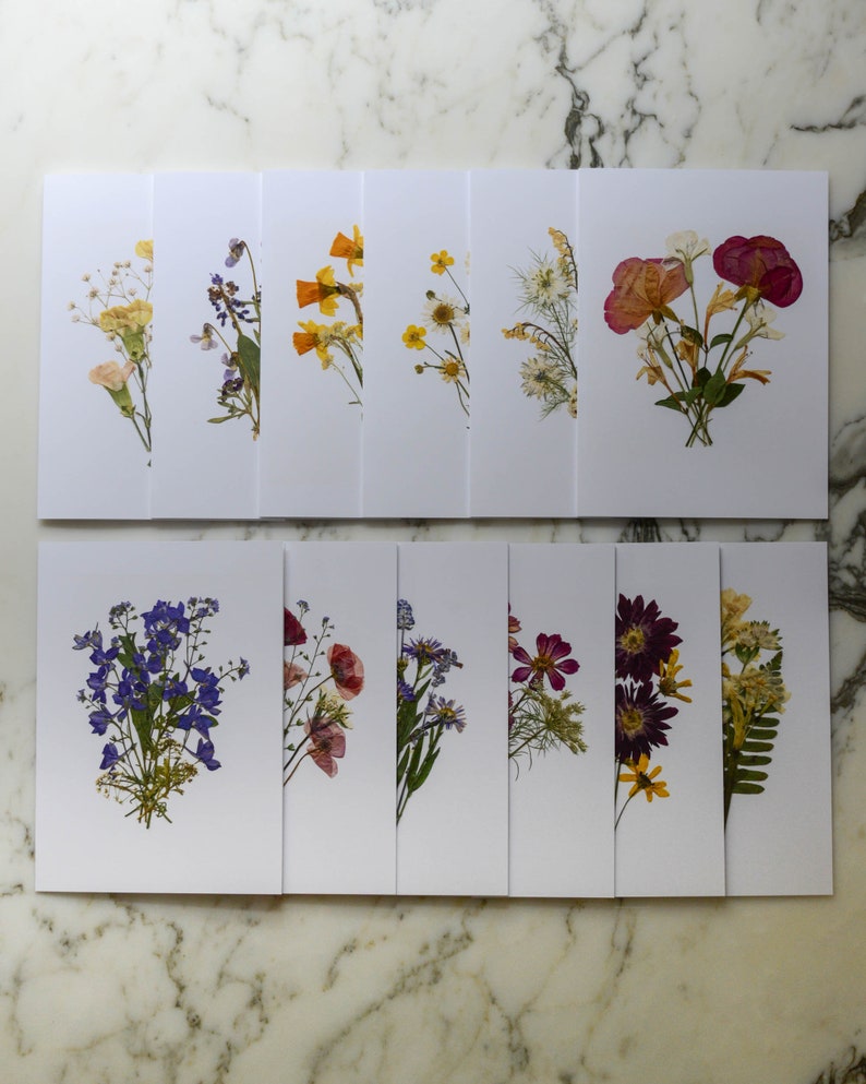 The Bouquet Collection Set of 6 or 12 Blank Greeting Cards with white linen envelopes Print reproduction of pressed flower designs image 1
