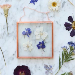 May include: Square copper-framed pressed flower art with a delicate chain for hanging. The artwork features white and blue pressed flowers on a white background. Dried flowers are scattered around the frame on a marble surface.