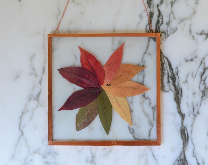 Real pressed flower wall hanging | sumac color wheel | 5" square glass with copper edging | botanical home decor