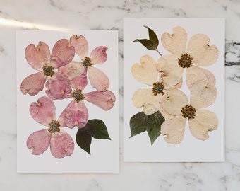 Set of Two | Flowering Dogwood, VA , NC State Flower | Print reproduction artwork of pressed flowers | 100% cotton rag paper | Botanical