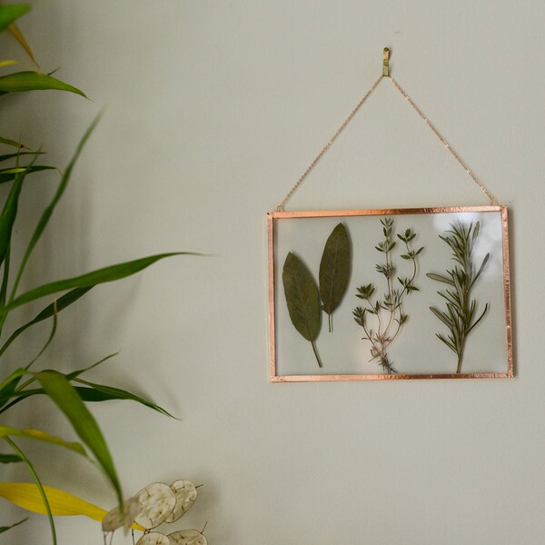 Real pressed plant wall hanging | culinary herbs: sage, rosemary, thyme | 5x7" glass with copper edging | botanical kitchen home decor