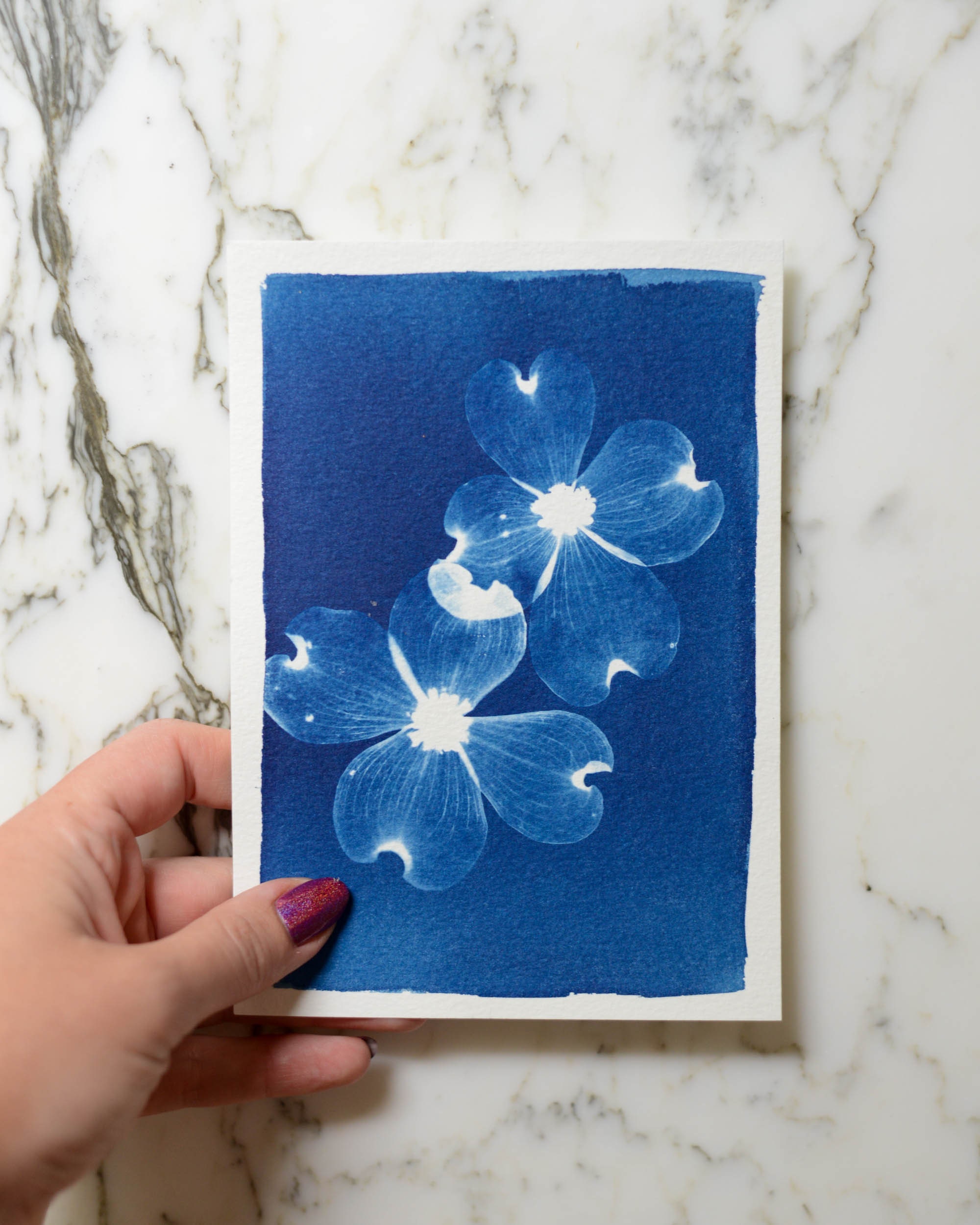 Dogwood Duo 2, Cyanotype Art, 5x7 Watercolor Paper