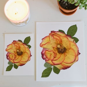 Rosa / Junio / Imprimir obras de arte de flores prensadas / Papel de trapo 100% algodón / Flores del mes de nacimiento, Obras de arte botánicas imagen 3