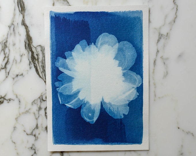 Peony Bloom | Cyanotype Art, 5x7" Watercolor Paper | Sun Print, Blue Print, Botanical Art, Pressed Flowers, Photogram