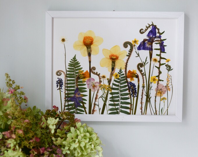 Spring Meadow / Four Seasons | Limited edition, numbered Print artwork of pressed flowers | 100% cotton rag paper | Botanical artwork