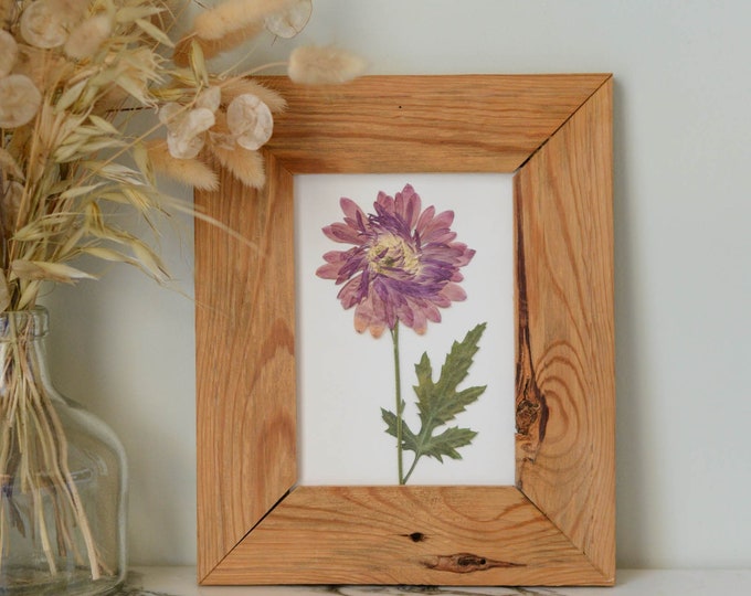 Chrysanthemum / November | Print artwork of pressed flowers | 100% cotton rag paper | Birth month flowers, Botanical artwork