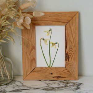 Snowdrops / January | Print artwork of pressed flowers | 100% cotton rag paper | Birth month flowers, Botanical artwork, herbarium