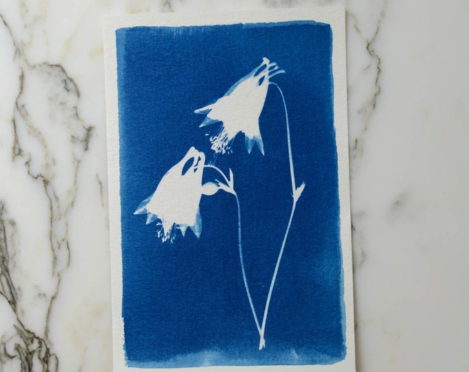 Columbine | Cyanotype Art, 4x6" Watercolor Paper | Sun Print, Blue Print, Botanical Art, Pressed Flowers, Photogram