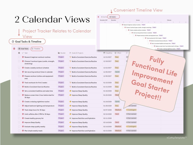 2 Calendar views for the goals and project tracker include a timeline view