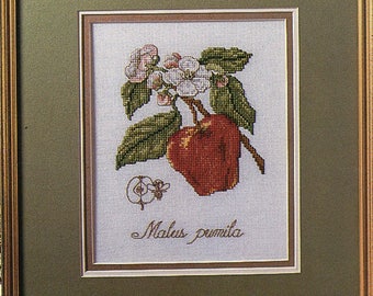 APPLE botanique Sampler point de croix -X--diagramme-broderie - couture