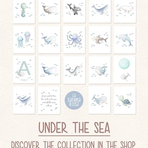 Ocean nursery print set, Under the sea wall art, Nautical kids room decor, Sea life animals art, Turtle, Jelly fish, Seahorse, Octopus A image 9