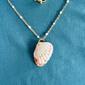 Seashell Necklace – Gold Stainless Steel Chain, Beach Lover Gift, Coastal Jewelry, Broad Ribbed Cardita Shell Pendant