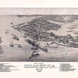 1884 Panorama-Karte von Cedar-Key Levy County Florida