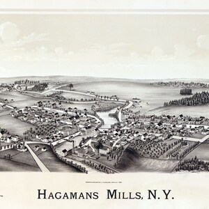 1890 Panoramakarte Hagamans Mills New York