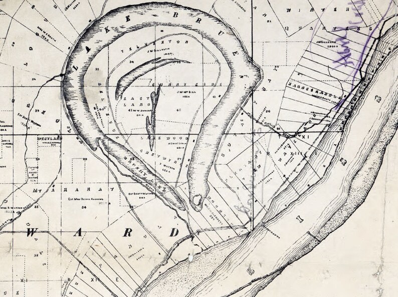 1873 Map of Plantations Tensas Parish county Louisiana Etsy