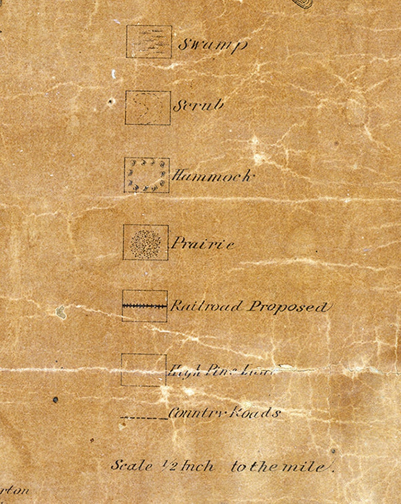 1884 Map of Hernando County Florida Etsy