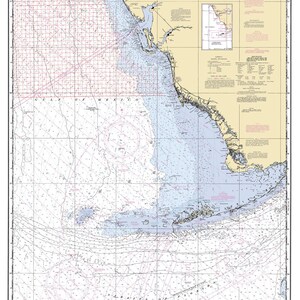 1996 Seekarte der Tampa Bay Petroleum- und Gasgebiete
