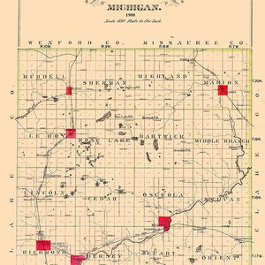 1900 Map of Osceola County Michigan