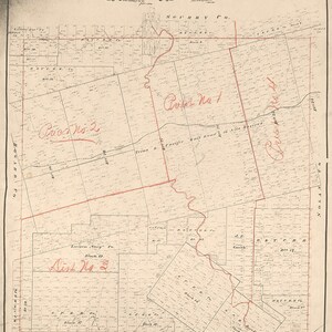 1889 Farm Line Map of Mitchell County Texas