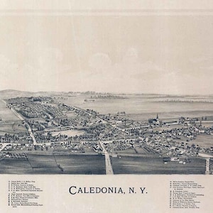 1892 Panoramakarte von Caledonia New York