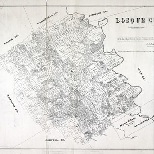 1879 年テキサス州ボスク郡の農地境界線地図