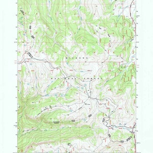 Carte topographique 1993 de Granite Pass, Wyoming, WY, forêt Bighorn