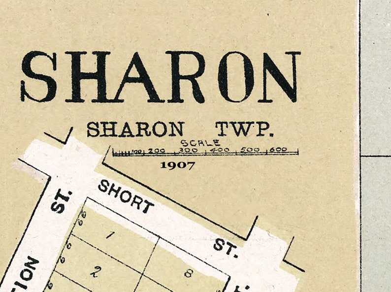 1907 Town Map of Sharon Walworth County Wisconsin Etsy UK