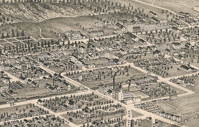 1891 Aerial Panoramic Map of Winstonsalem North Carolina Etsy