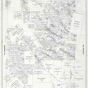 1880 Farm Line Map du comté de Duval au Texas