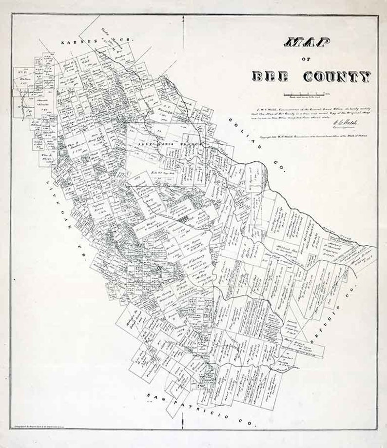 1879 Farm Line Map of Bee County Texas Etsy