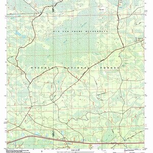 2005 Topo Karte vom Big Gum Swamp Florida Quadrangle Osceola National Forest