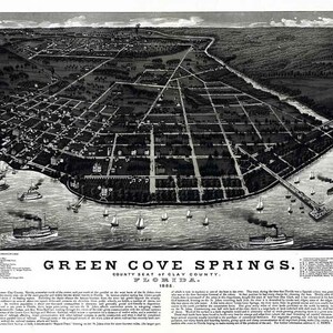 1885 Panorama-Karte von Green Cove Springs Clay County Florida