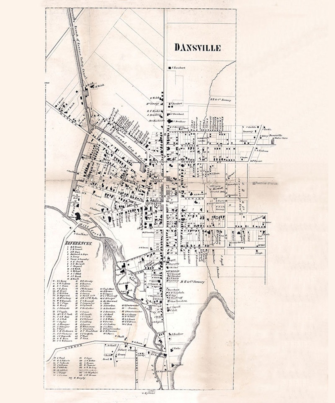 1858 Town Map of Dansville Livingston County New York