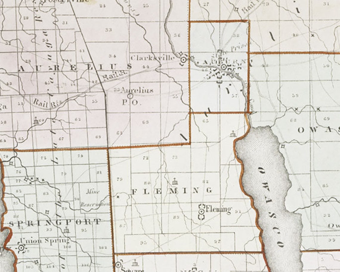 1841 Map of Cayuga County New York Etsy