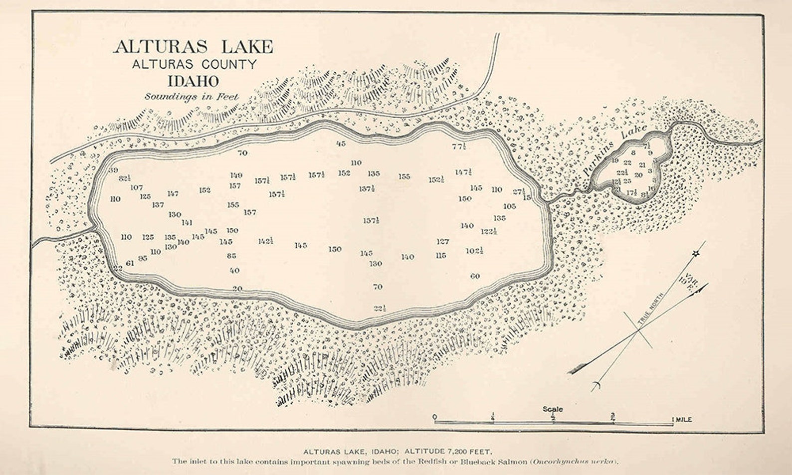 1897 Map of Alturas Lake Alturas County Idaho Etsy
