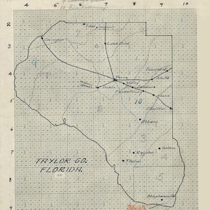 1910 Carte du comté de Taylor en Floride